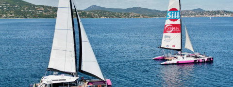 A la découverte du Golfe en Catamaran